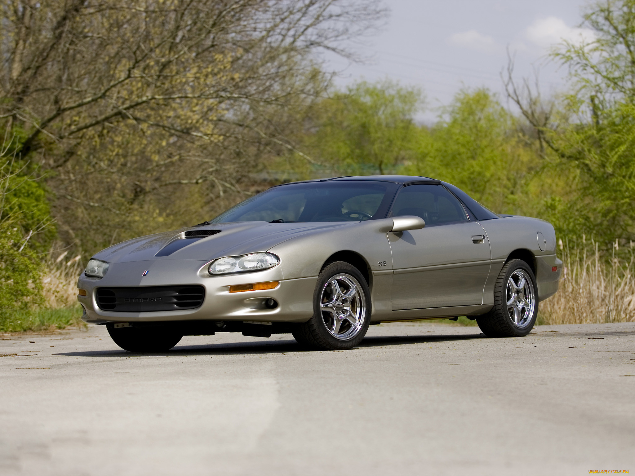 , camaro